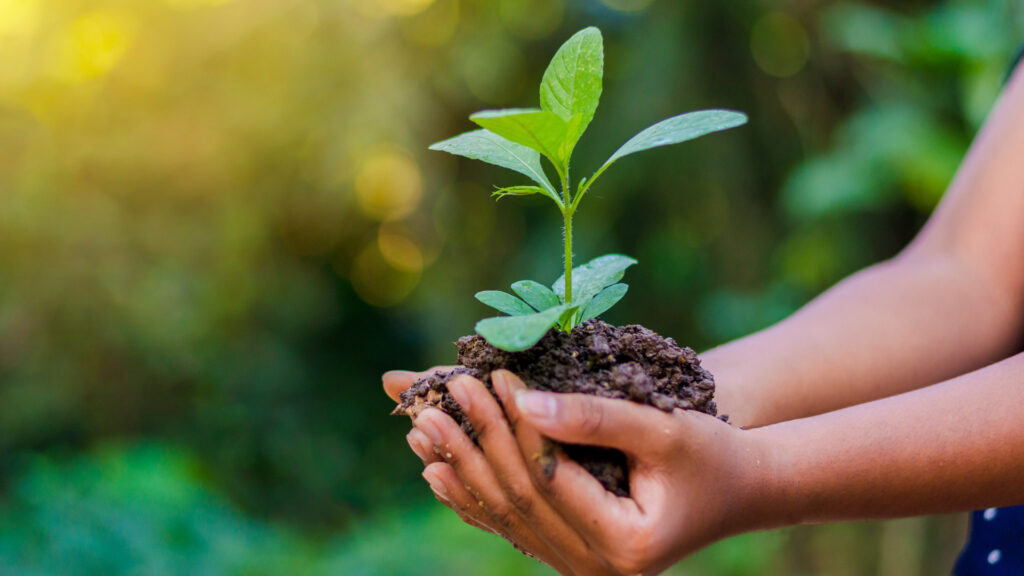 Victoria pour l’Environnement